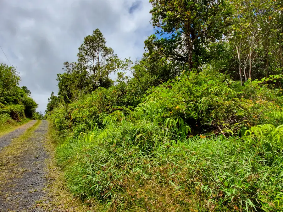 Kopaa St, Mountain View, HI 96771 - #2