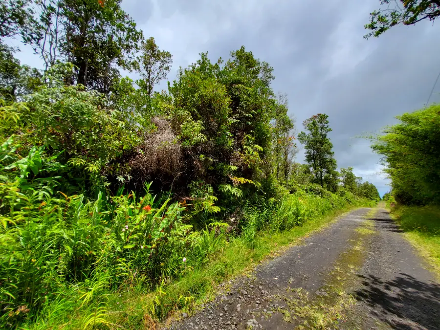 Kopaa St, Mountain View, HI 96771 - #3