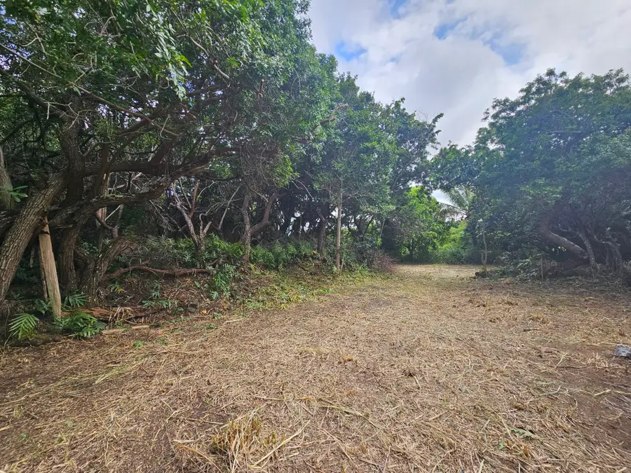 94-6377 Palaoa Rd, Naalehu, HI 96772 - #2