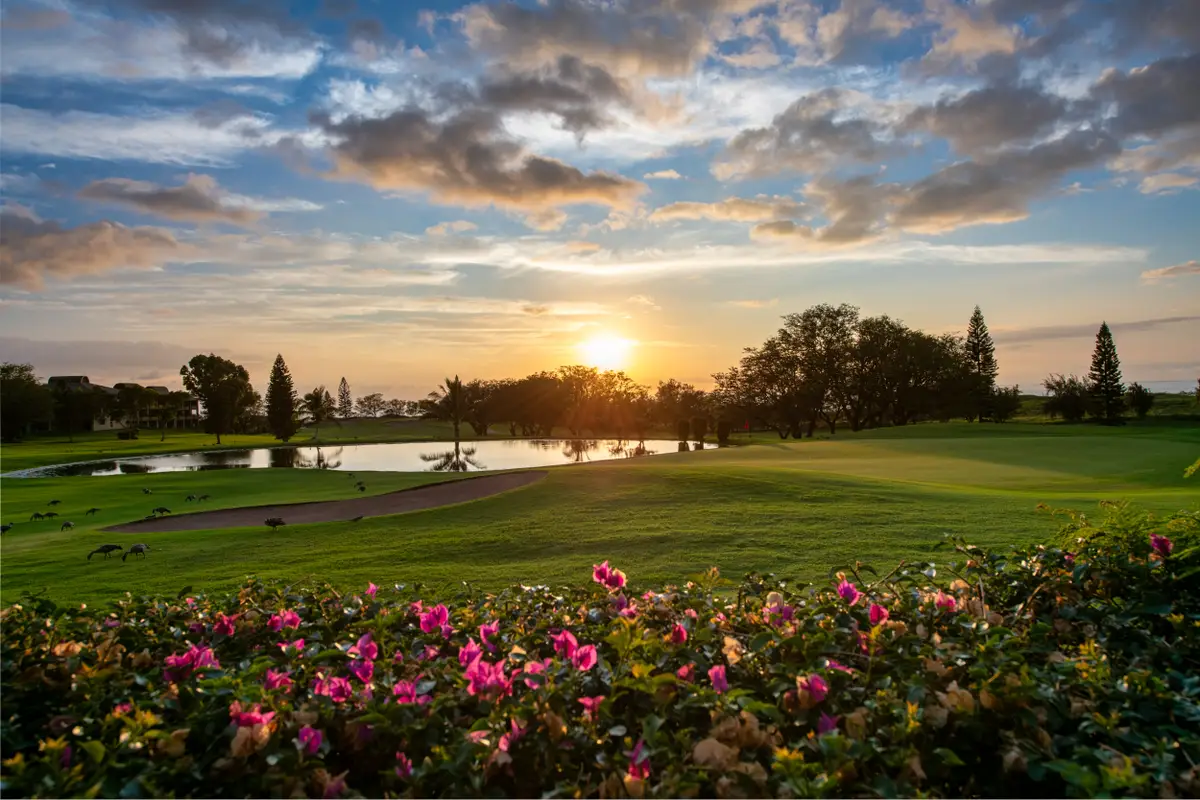 68-1754 Melia St #A103, Waikoloa, HI 96738 - #1