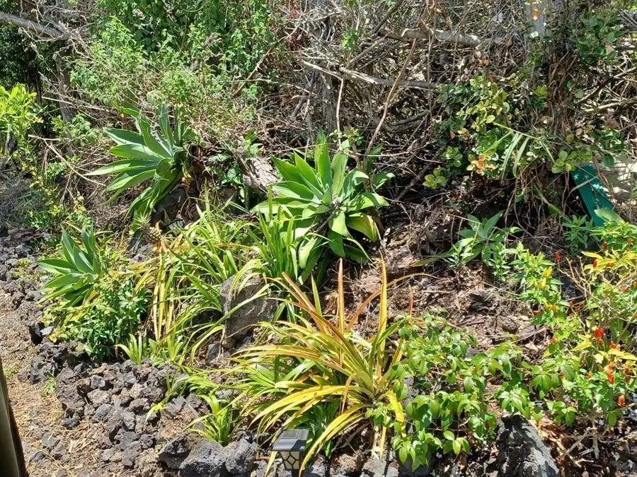 Orchid Parkway, Ocean View, HI 96737 - #2