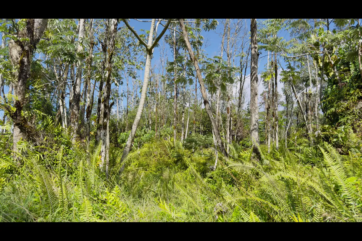 13th Ave, Keaau, HI 96749 - #1