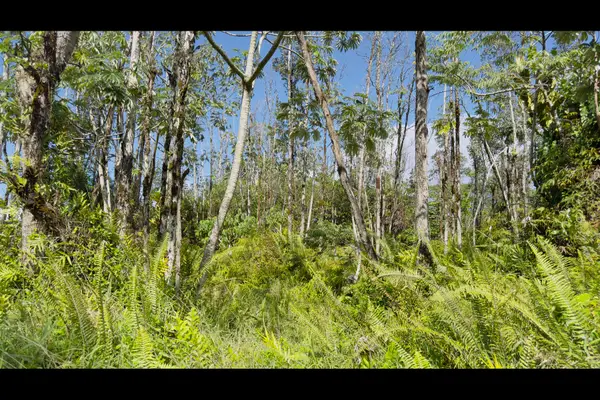 13th Ave, Keaau, HI 96749