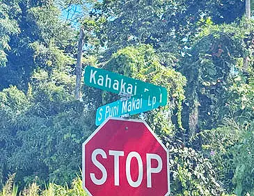 Address Withheld By Seller, Pahoa, HI 96778 - #3