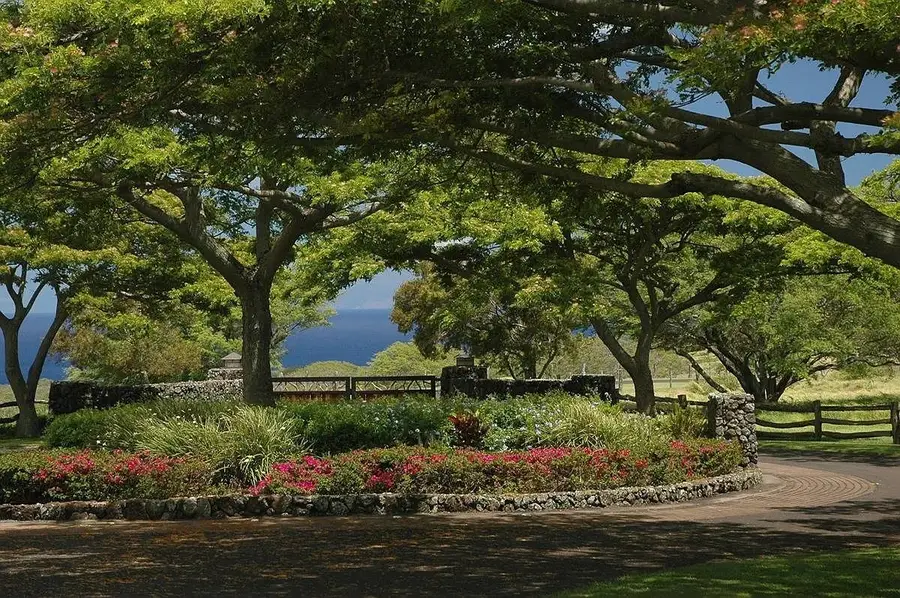 56-153 Pualani Rd, Hawi, HI 96719 - #3