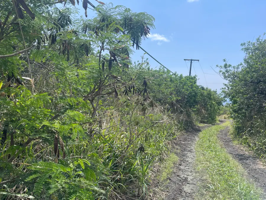 Address Withheld By Seller, Naalehu, HI 96772 - #3