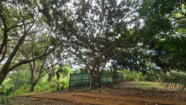 3215-C Wawae Rd, Kalaheo, HI 96741