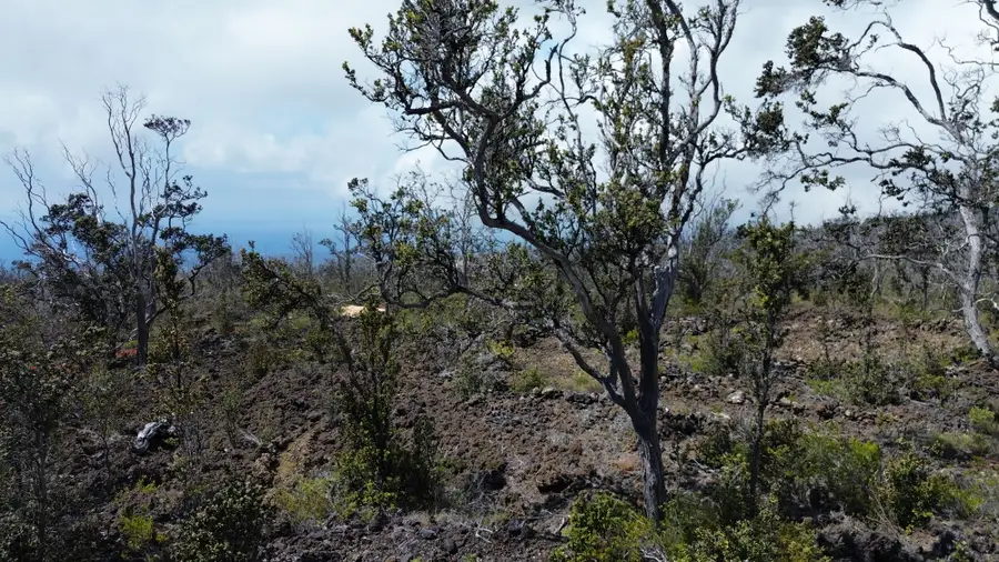 Plumeria Ln, Ocean View, HI 96737 - #3