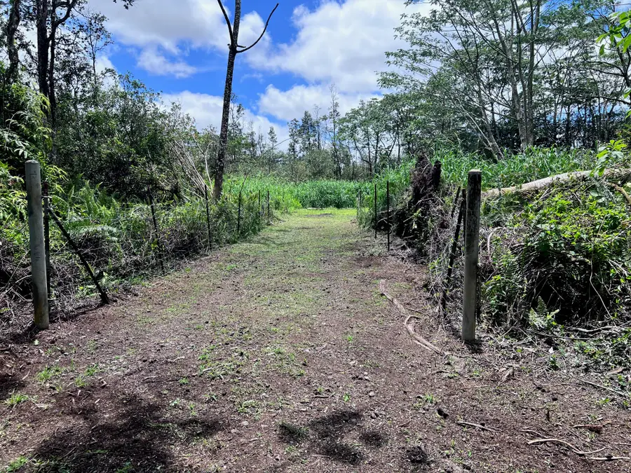 16-331 Kiele St, Kurtistown, HI 96760 - #3