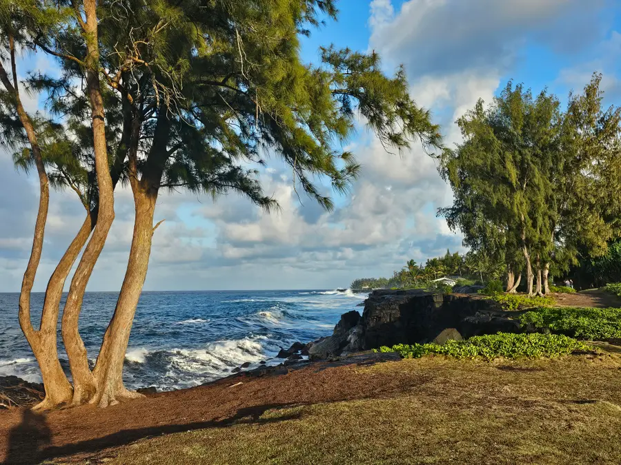 Paradise Ala Kai, Keaau, HI 96749 - #3