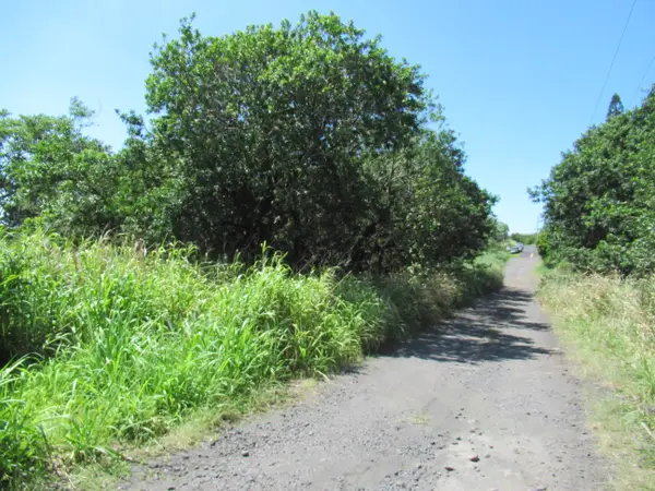 Kai Kane Lp, Naalehu, HI 96772