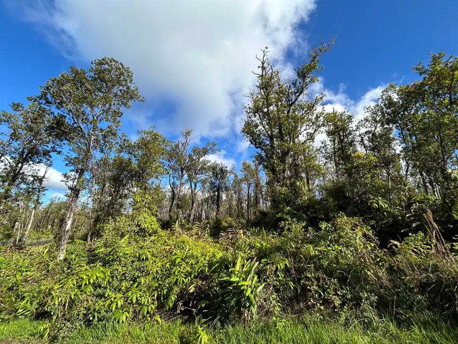 Makoa Rd, Volcano, HI 96785 - #2