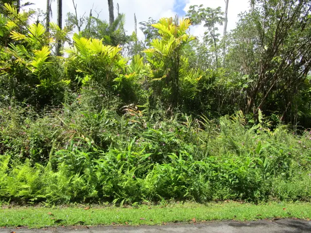 13-3591 Pomaikai St, Pahoa, HI 96778 - #2