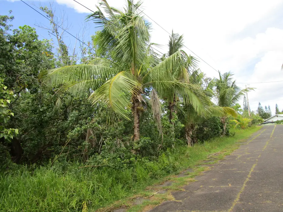 Kekainehe St, Pahoa, HI 96778 - #2