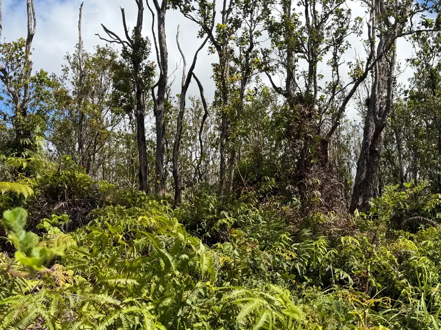 Makoa Rd, Volcano, HI 96785 - #2