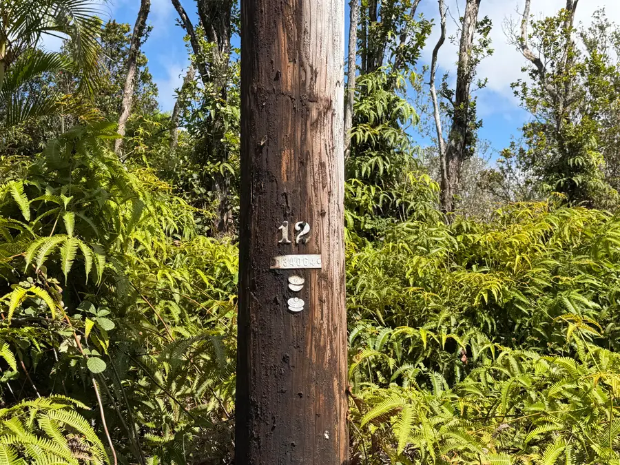Makoa Rd, Volcano, HI 96785 - #3