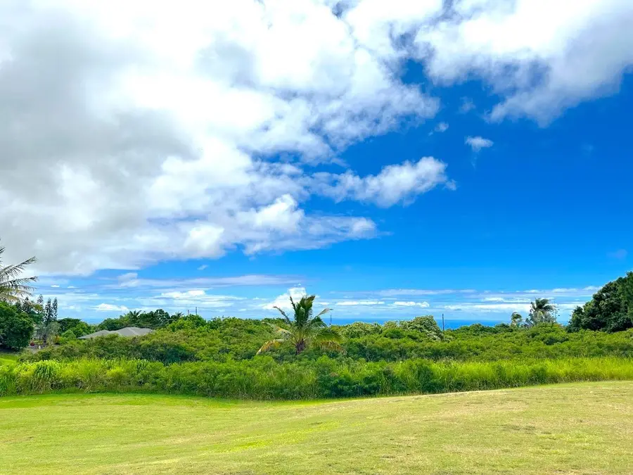 Kia Kahi St, Naalehu, HI 96772 - #2