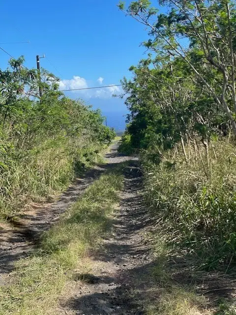 Amepela Rd, Naalehu, HI 96772
