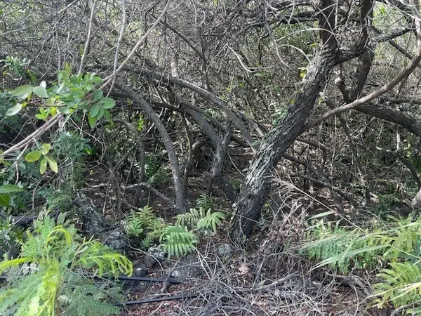 Holowai St, Naalehu, HI 96772