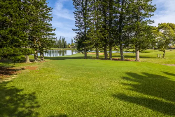 Emmalani Dr #Lot 43, Princeville, HI 96722