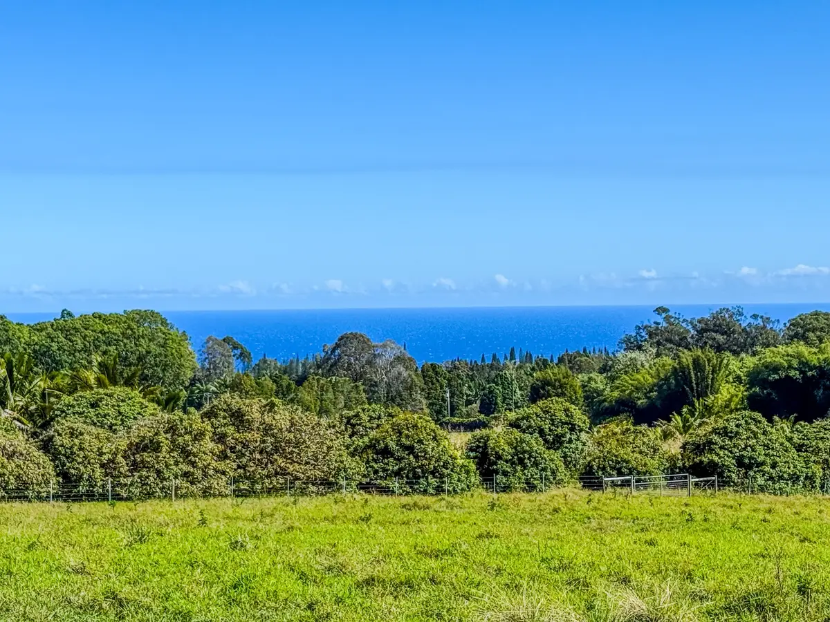 29-613 Chin Chuck Rd, Hakalau, HI 96710 - #1
