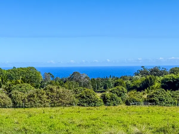29-613 Chin Chuck Rd, Hakalau, HI 96710