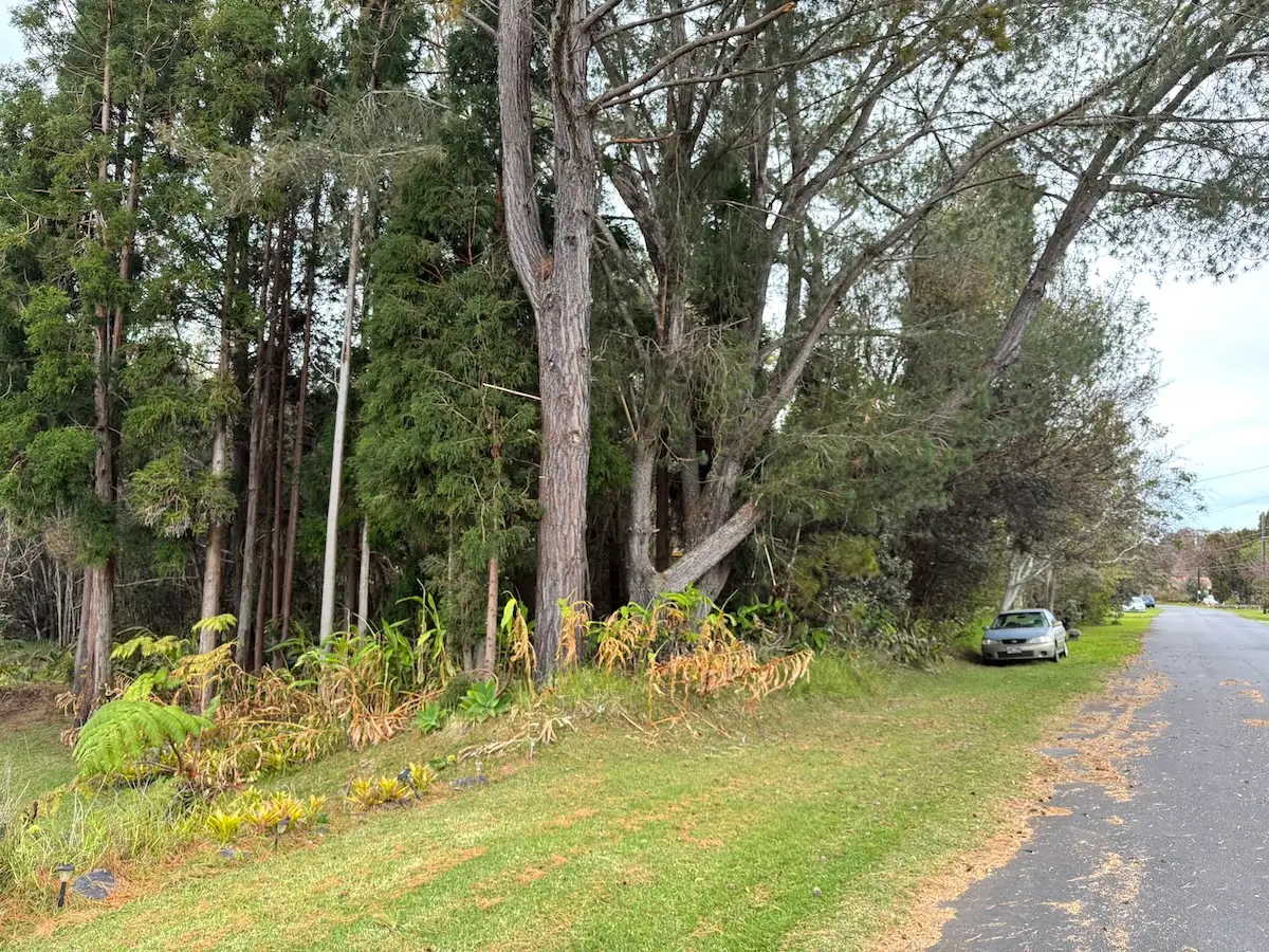 Painiu Lp, Volcano, HI 96785 - #1