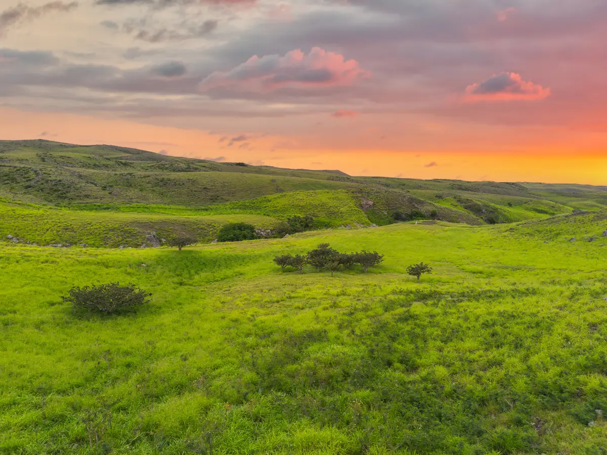 Address Withheld By Seller, Kamuela, HI 96743 - #1