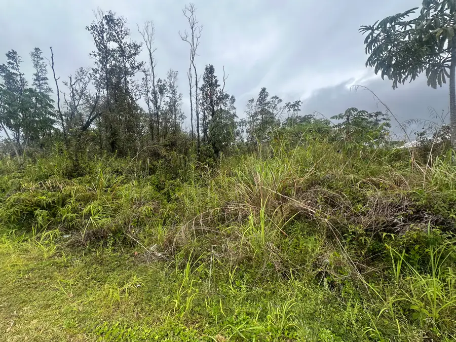 Tree Fern Dr, Pahoa, HI 96778 - #3