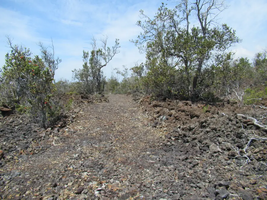 Cocoanut Dr, Ocean View, HI 96737 - #3