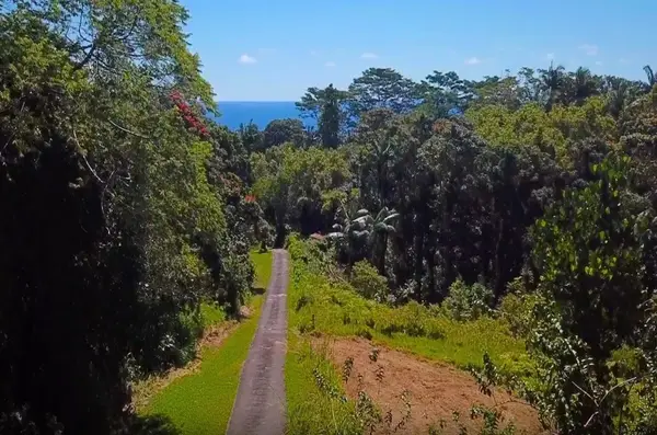 27-2430 Hawaii Belt Rd, Papaikou, HI 96781