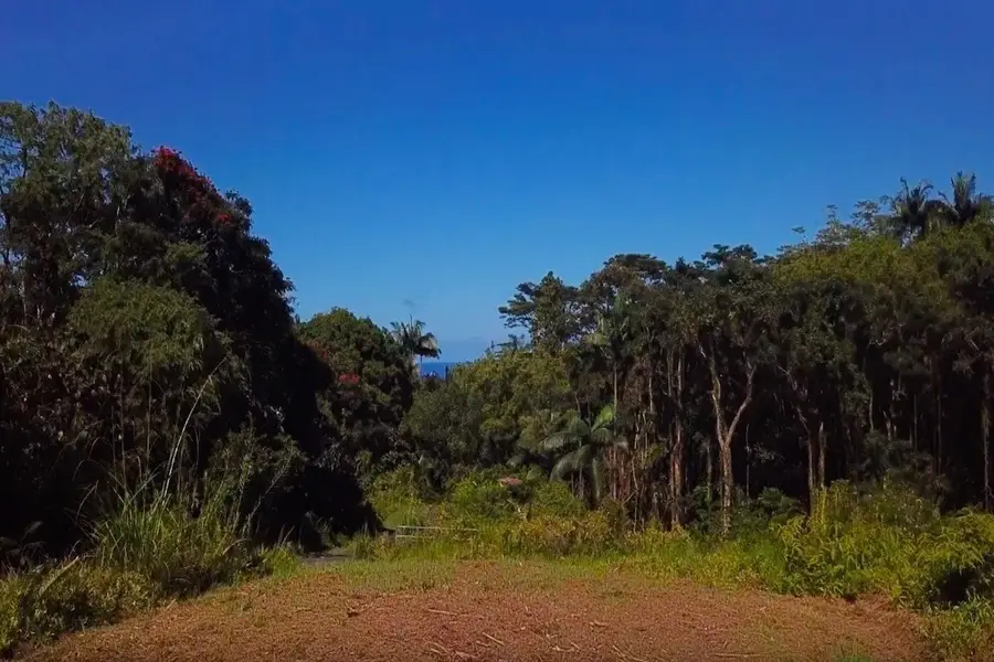 27-2430 Hawaii Belt Rd, Papaikou, HI 96781 - #2