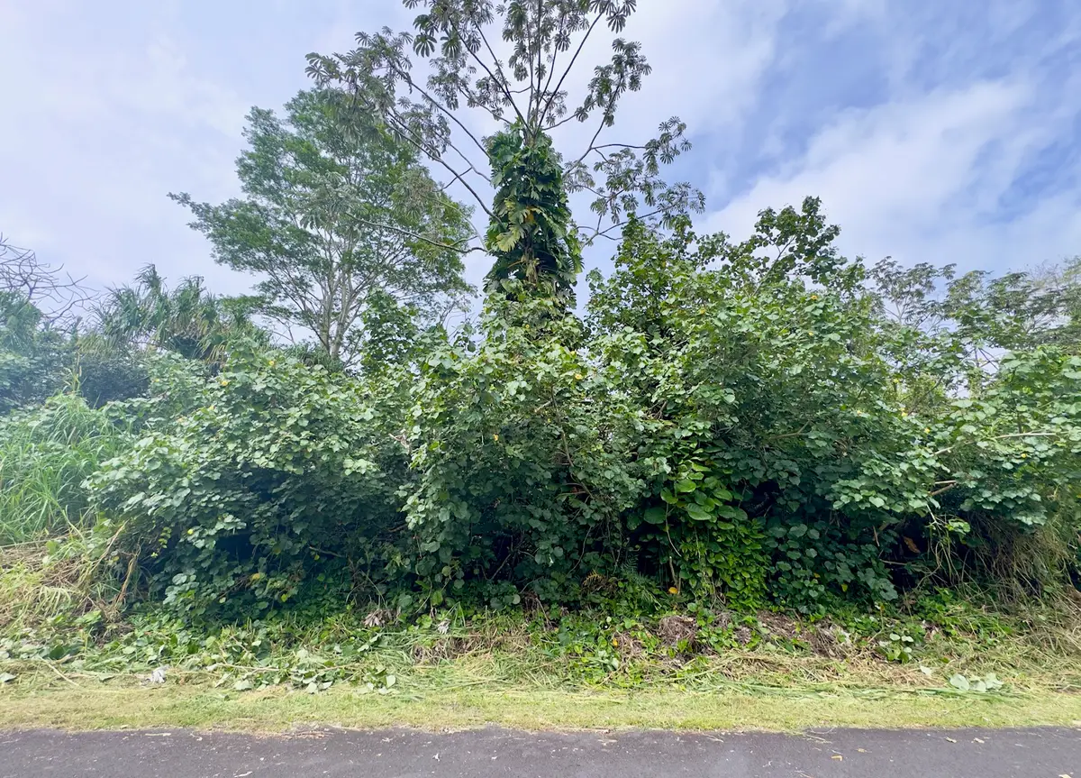 Nenue St, Pahoa, HI 96778 - #1