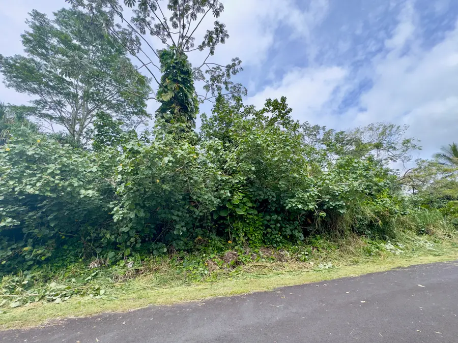 Nenue St, Pahoa, HI 96778 - #2