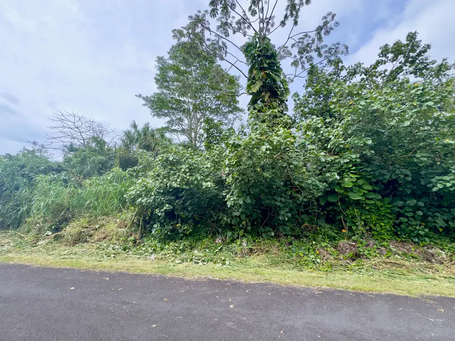 Nenue St, Pahoa, HI 96778 - #3