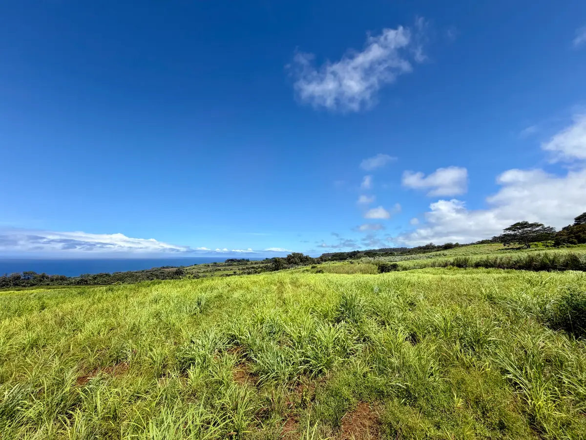 32-195 Piha Kahuku Rd, Papaaloa, HI 96780 - #1