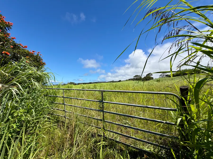 32-195 Piha Kahuku Rd, Papaaloa, HI 96780 - #2