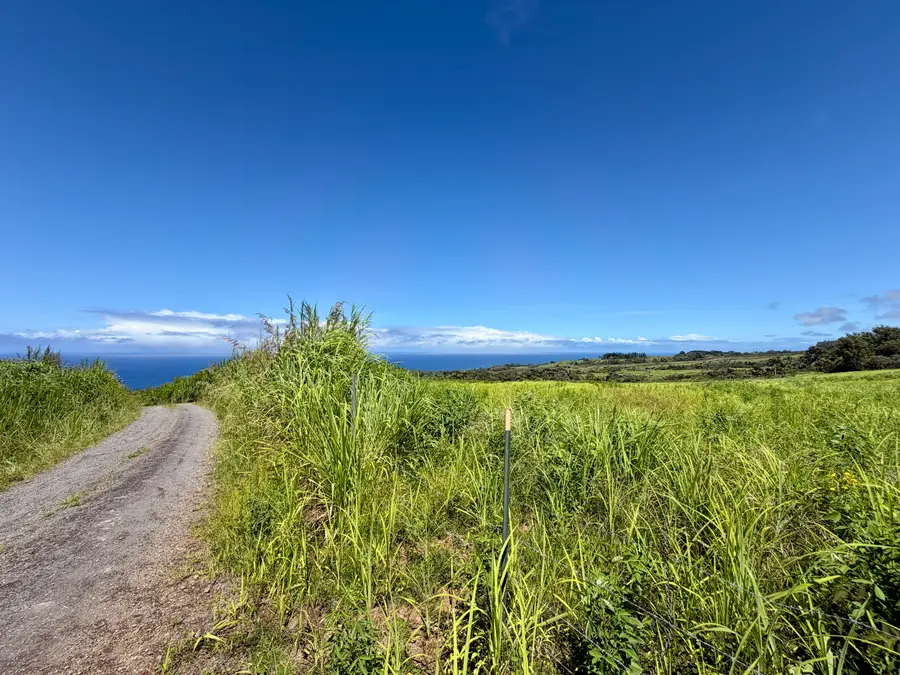 32-195 Piha Kahuku Rd, Papaaloa, HI 96780 - #3