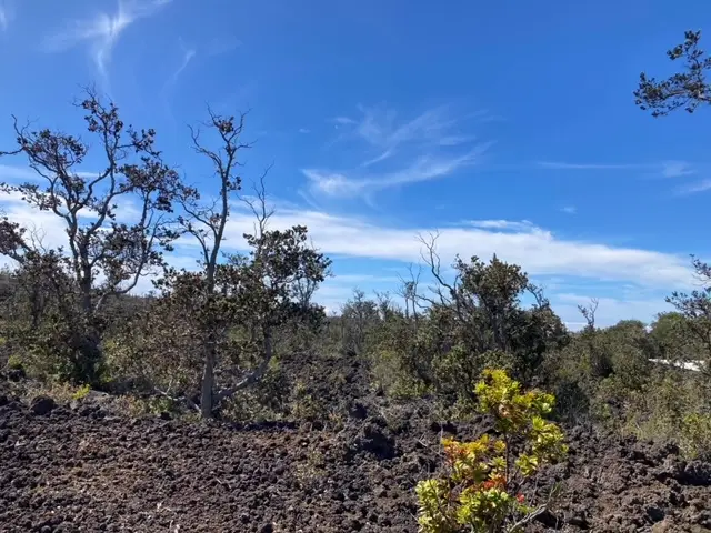 Anuenue Dr, Ocean View, HI 96737 - #3