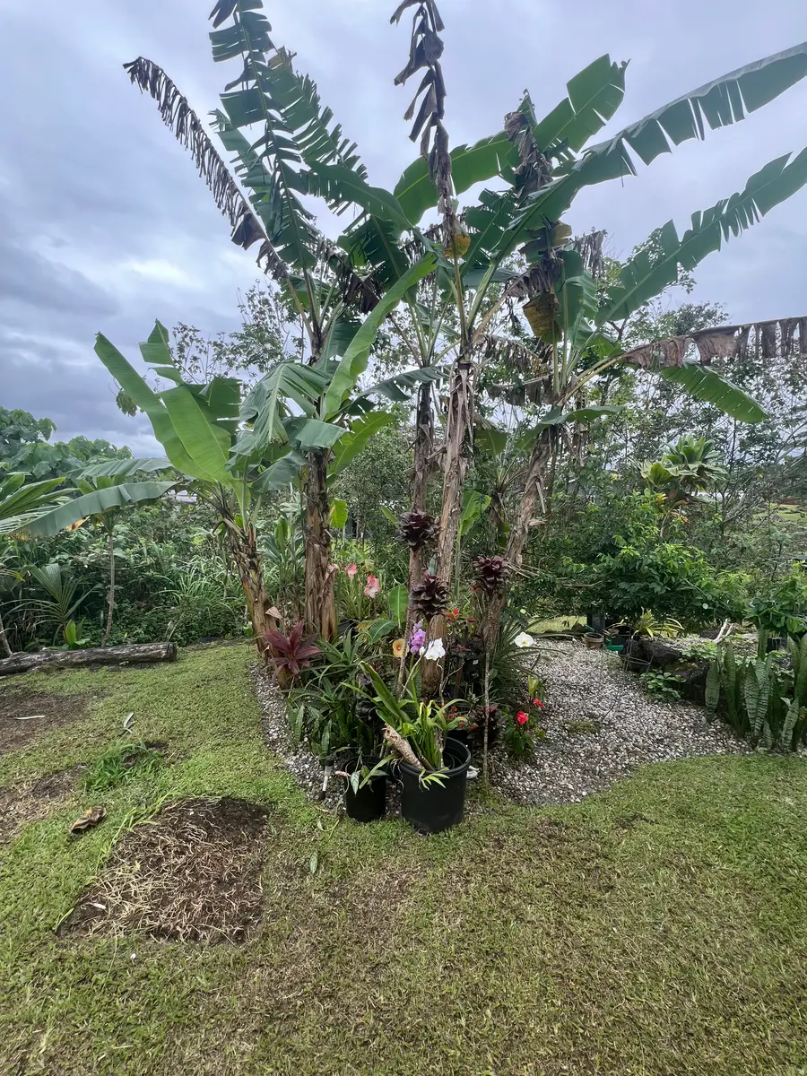 15-1493 19th Ave, Keaau, HI 96749 - #2