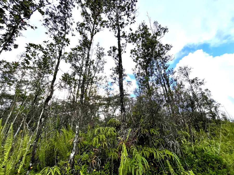 16-2106 Bamboo Dr, Pahoa, HI 96778 - #3