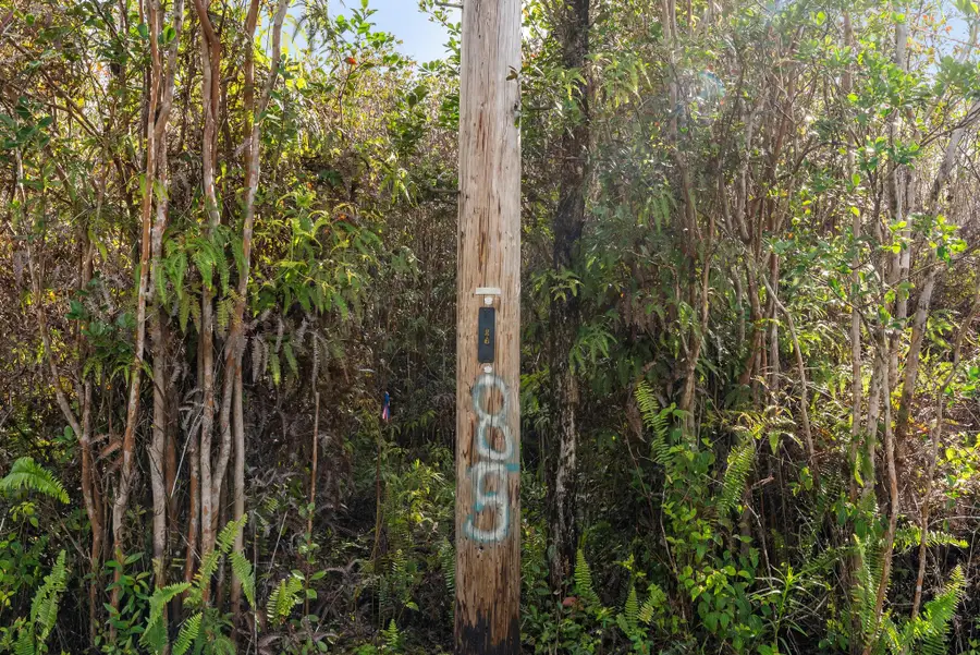 Lehua St, Mountain View, HI 96771 - #2