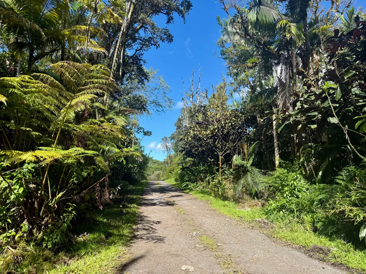 17-1070 Nailima Road, Mountain View, HI 96771 - #1