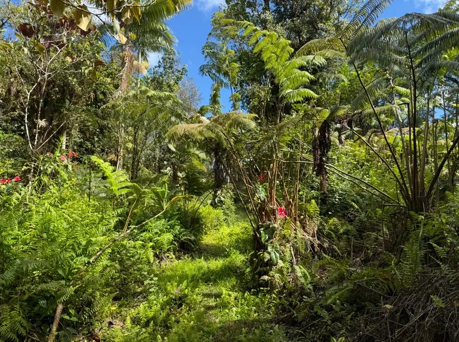 17-1070 Nailima Road, Mountain View, HI 96771 - #3