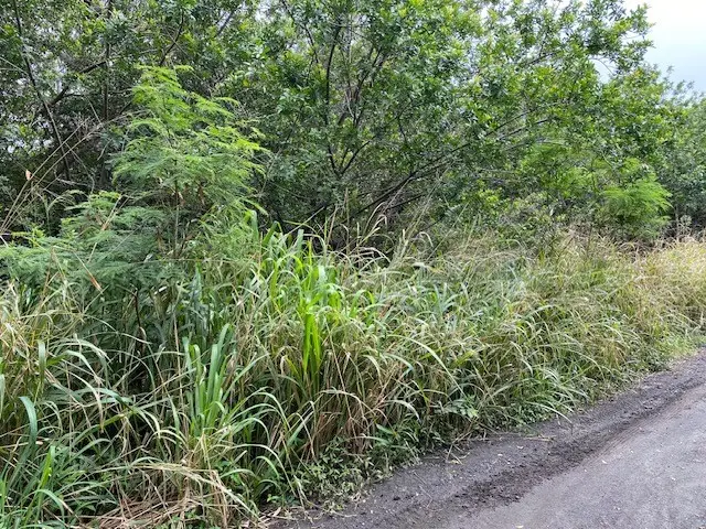 Kekuhaupio Rd, Naalehu, HI 96772 - #3
