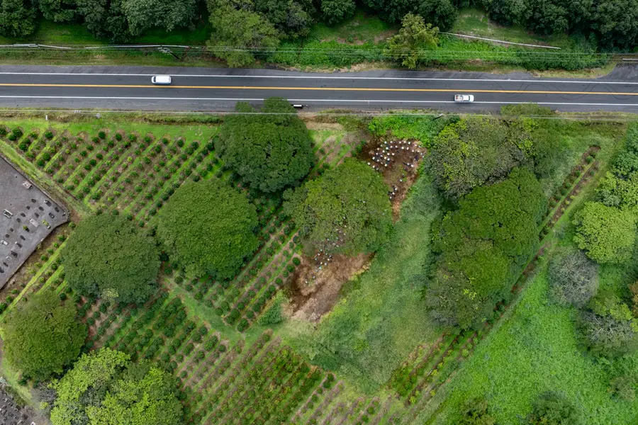 96-2951 Paauau St, Pahala, HI 96777 - #2