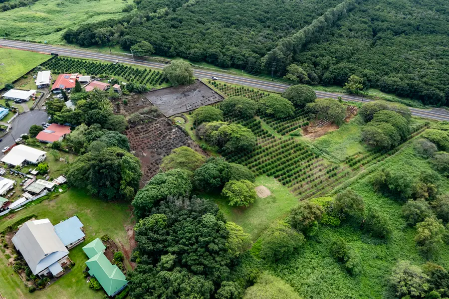 96-2951 Paauau St, Pahala, HI 96777 - #3