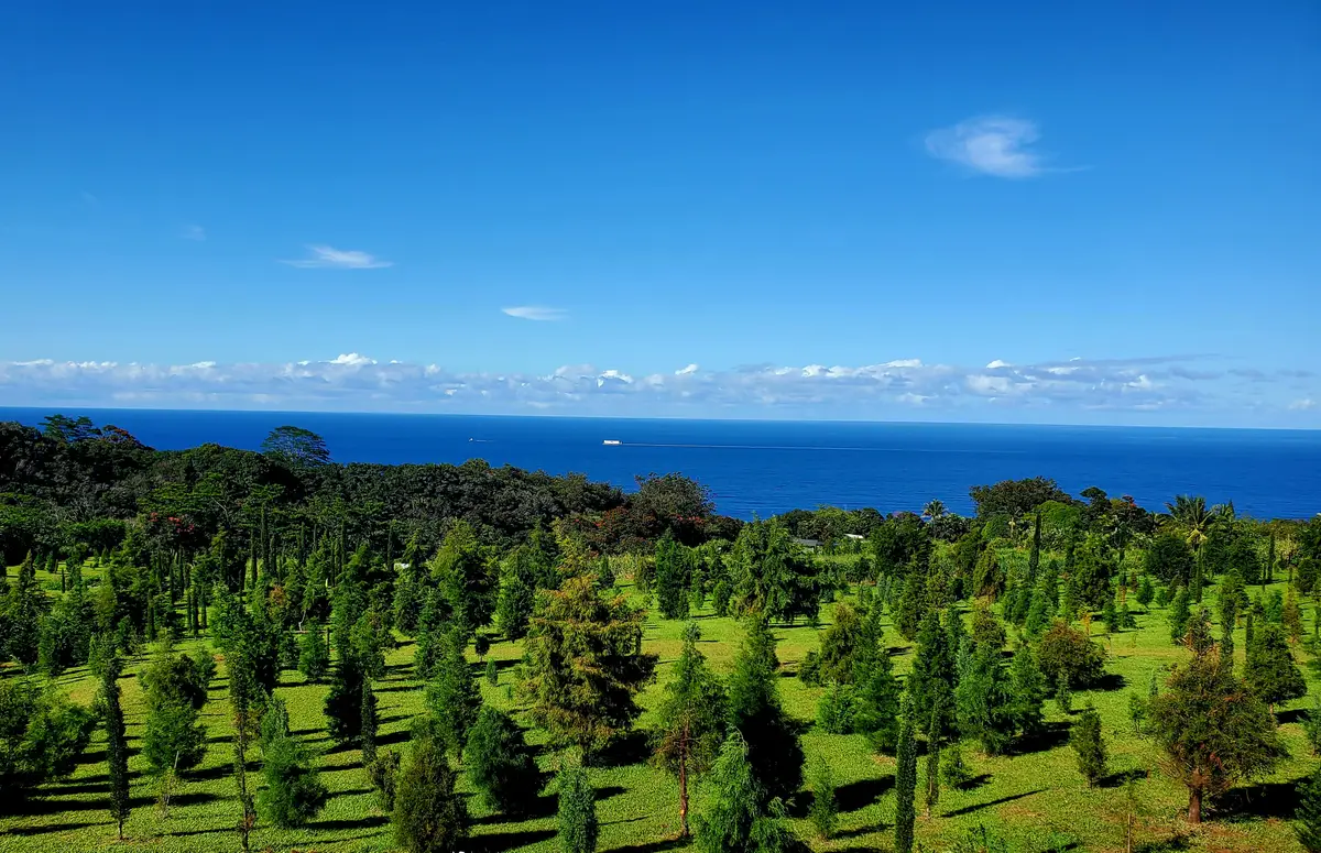 32-122 Piha Kahuku Rd #4, Ninole, HI 96780 - #1