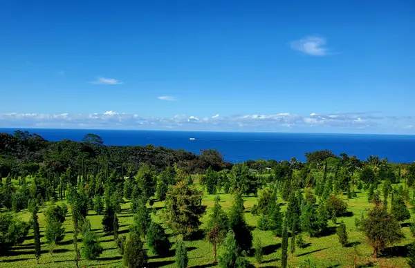 32-122 Piha Kahuku Rd #4, Ninole, HI 96780