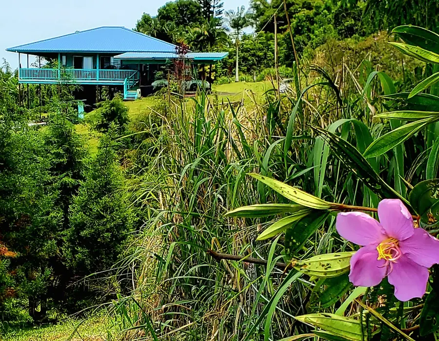 32-122 Piha Kahuku Rd #4, Ninole, HI 96780 - #3